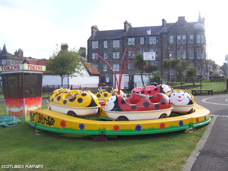 Stanley Gambles Ladybirds
