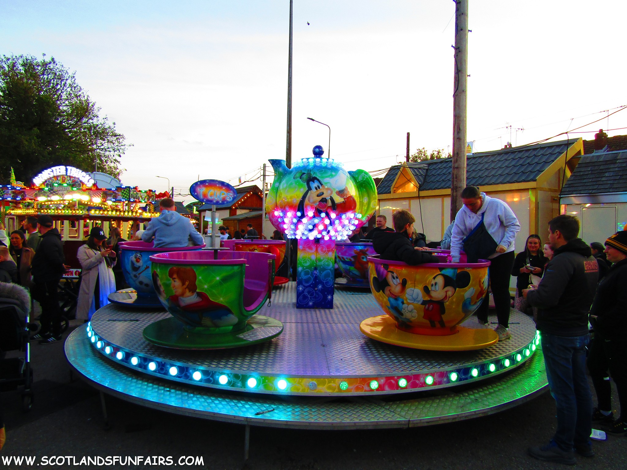 Unknown Teacups