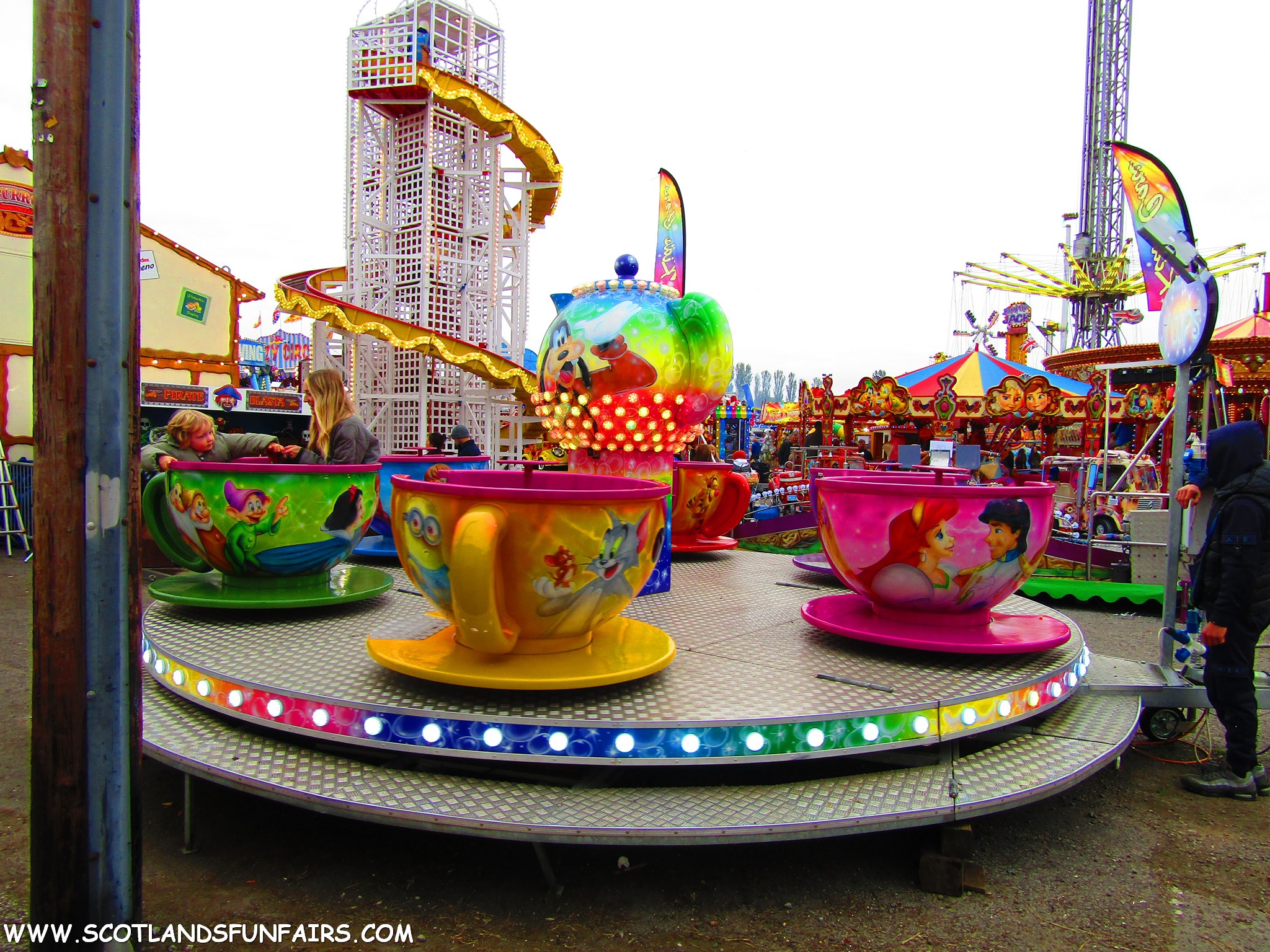 Unknown Teacups