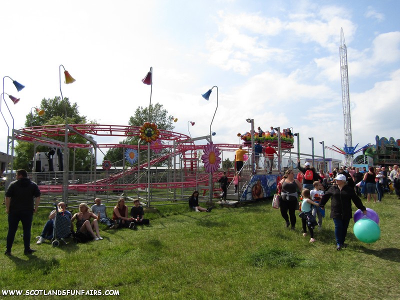 Curtis Eddys Rollercoaster
