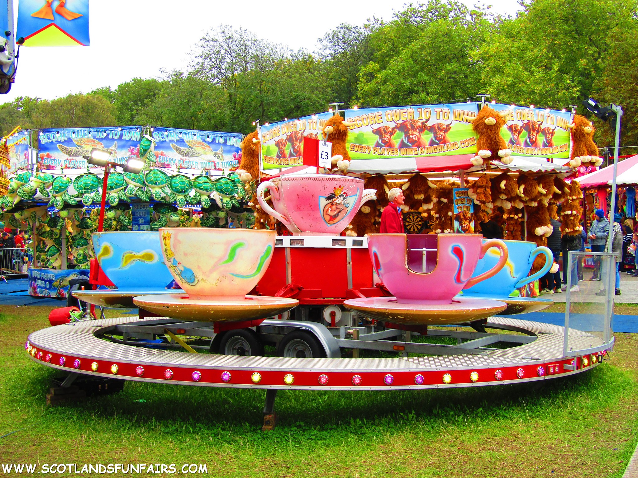 Unknown Teacups
