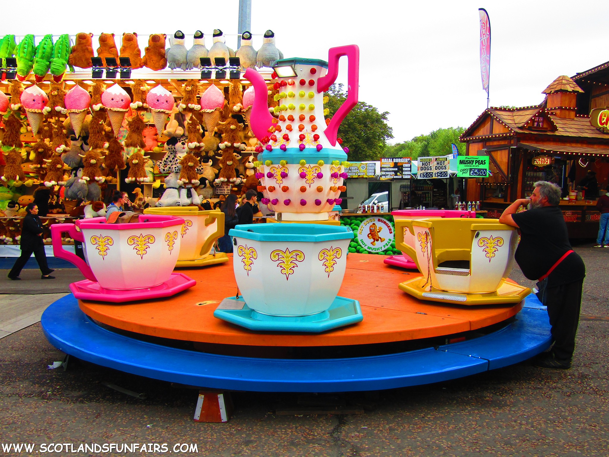 Maisie Woods Teacups