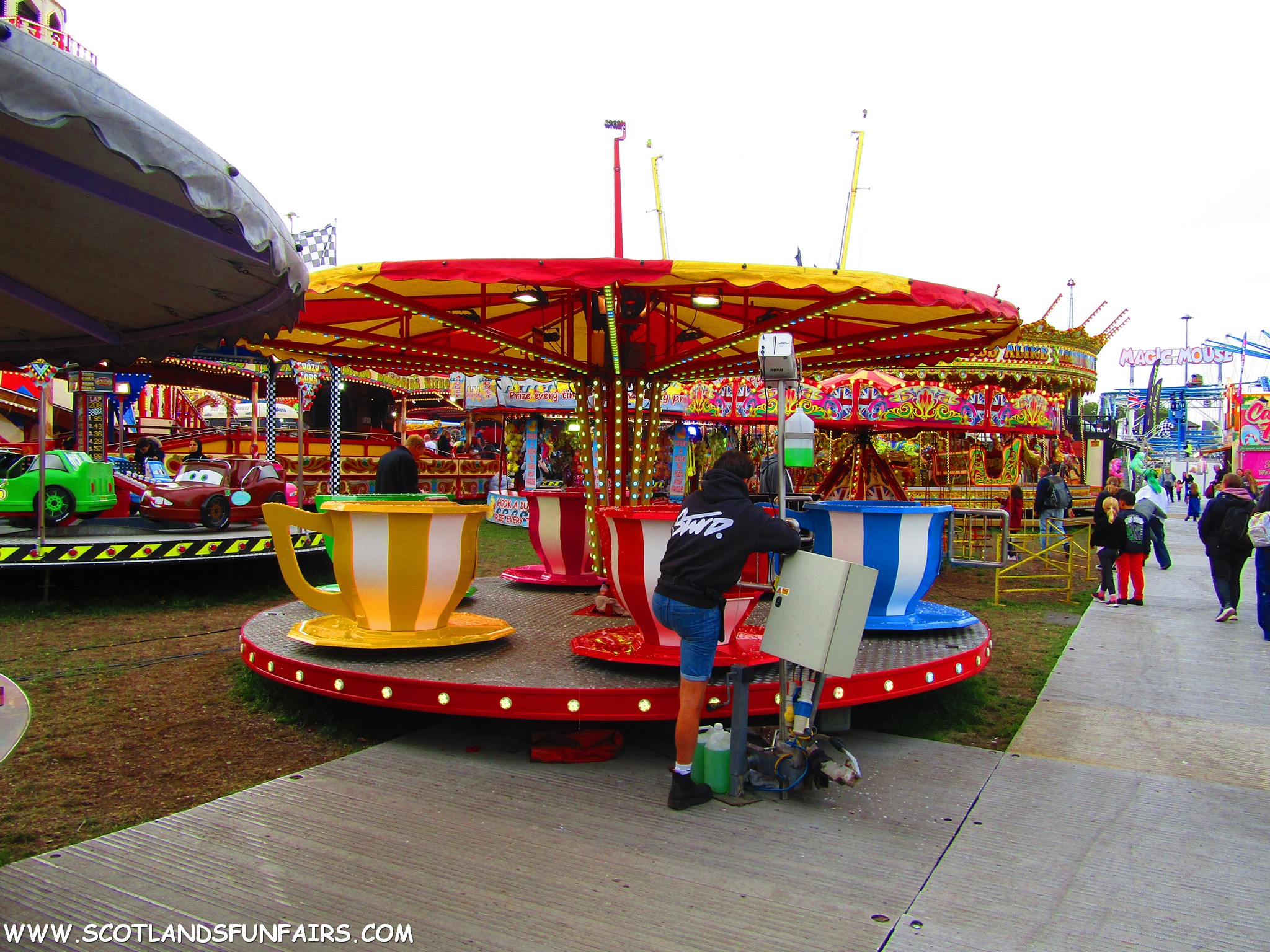 Shaun Croydons Teacups