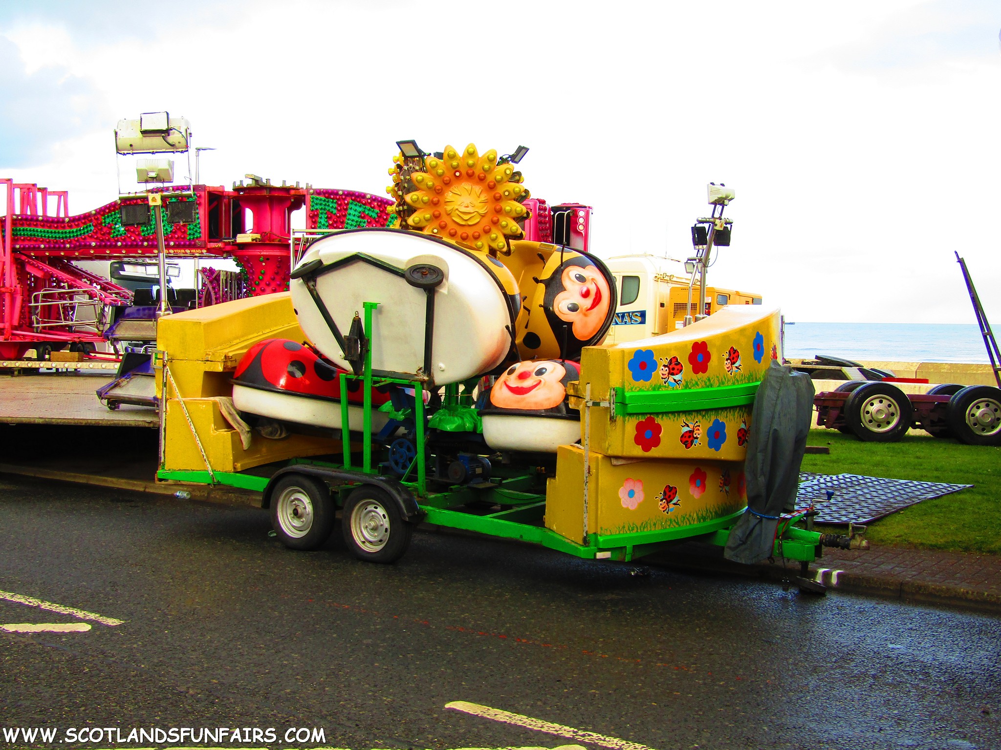 Allan Sharps Ladybirds