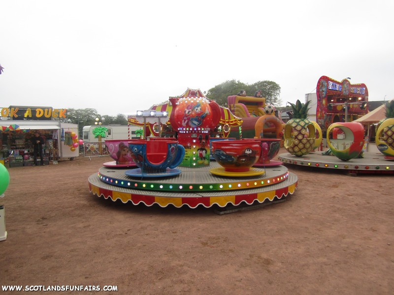Darren Cowleys Teacups