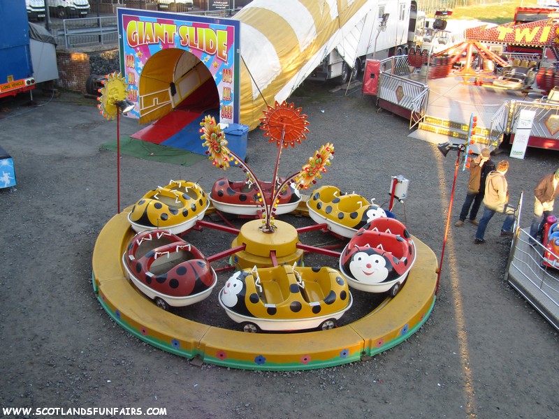 Vance Smiths Ladybirds