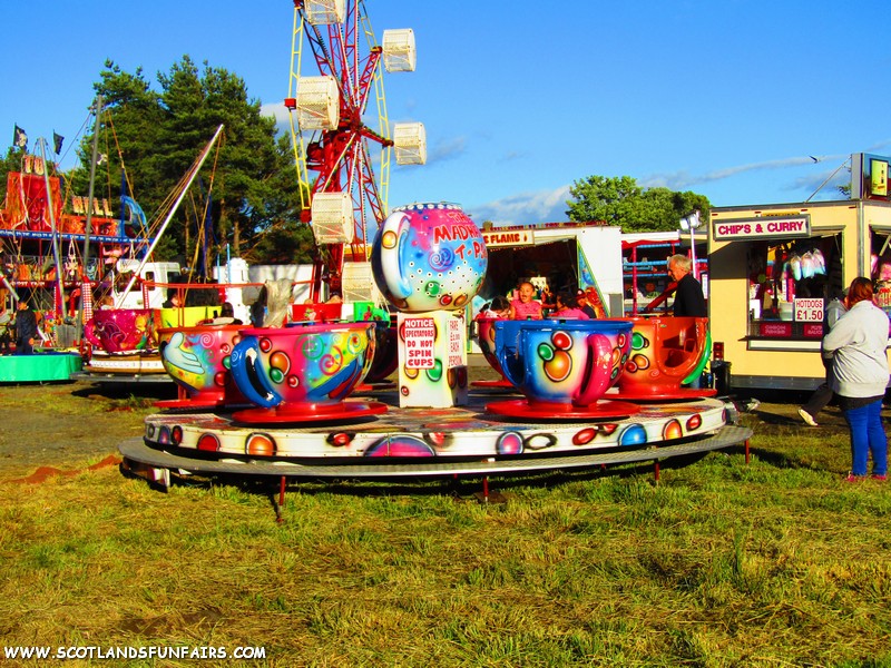 Joe Taylors Teacups
