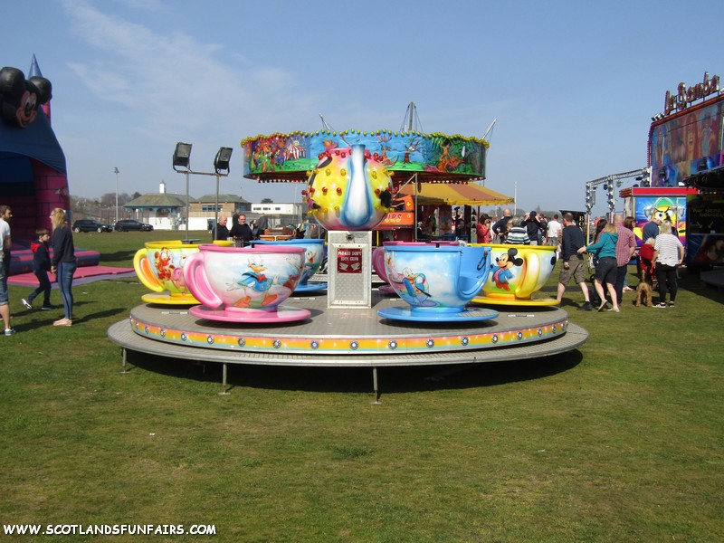 Reagan Evans Teacups