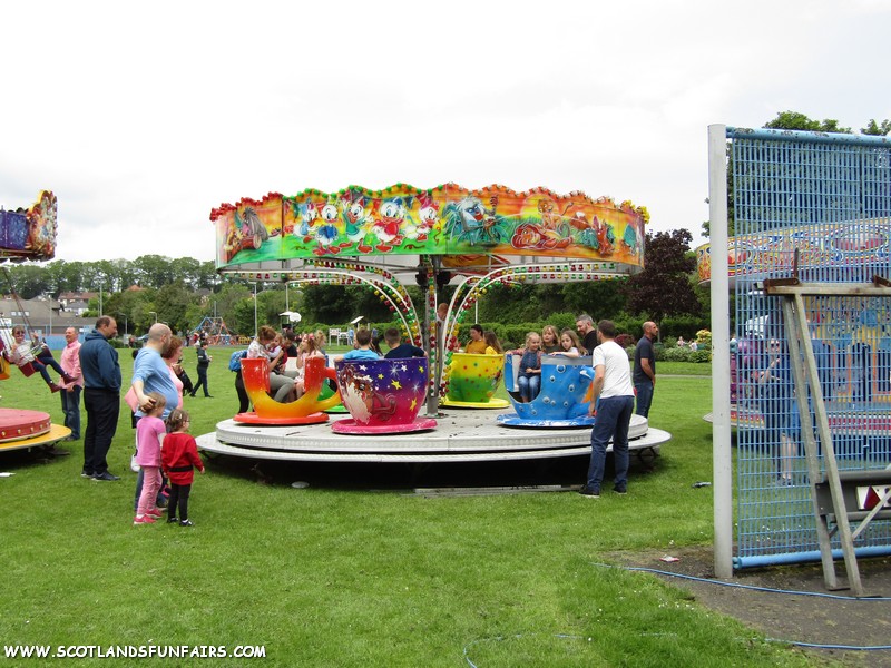 Charles MacIntyres Teacups