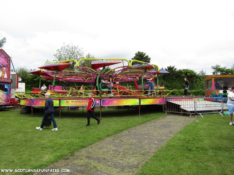 Grant & Warren Wallis's Skydiver
