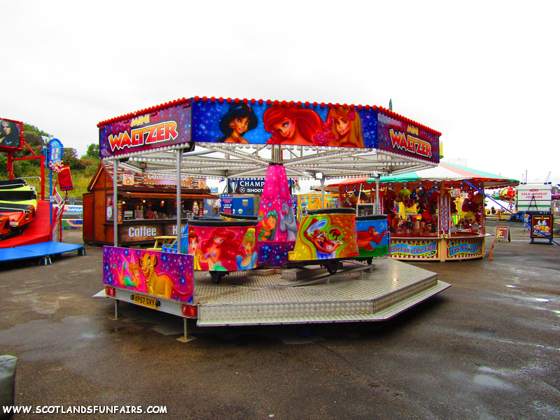 Unknown Mini Waltzer