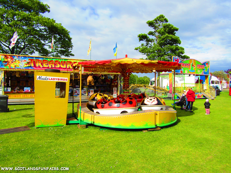 Kevin Carters Ladybirds