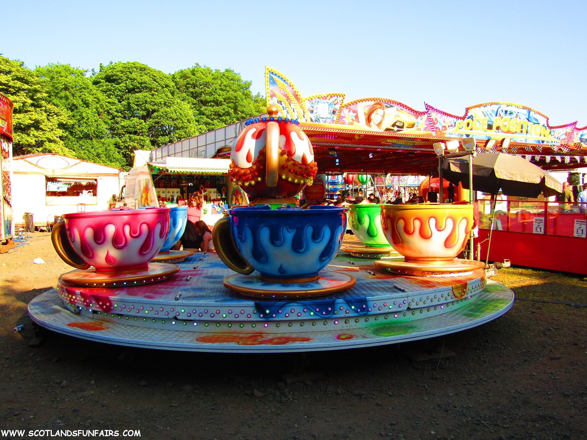 Phillip Paris's Teacups