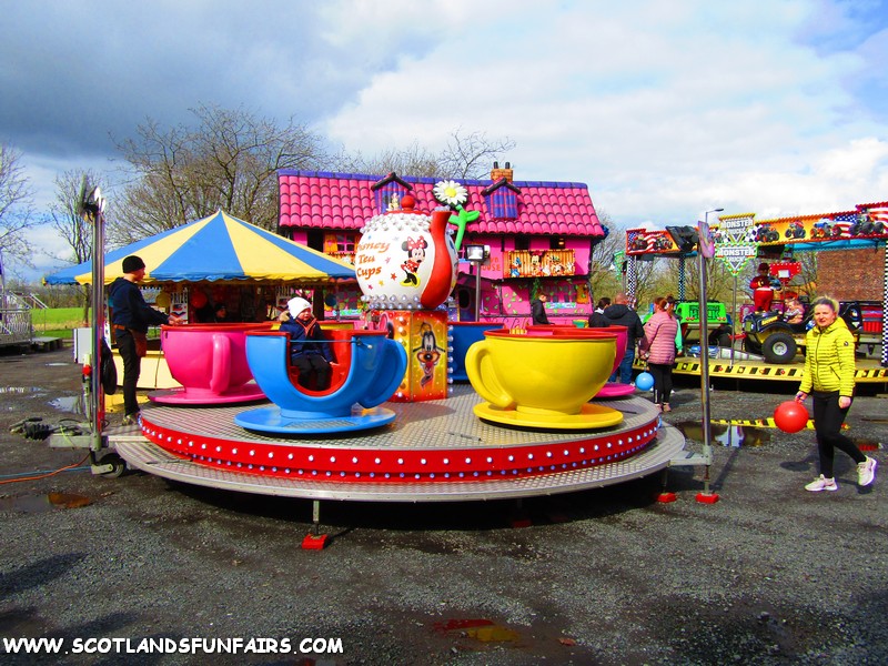 Martin Slaters Teacups