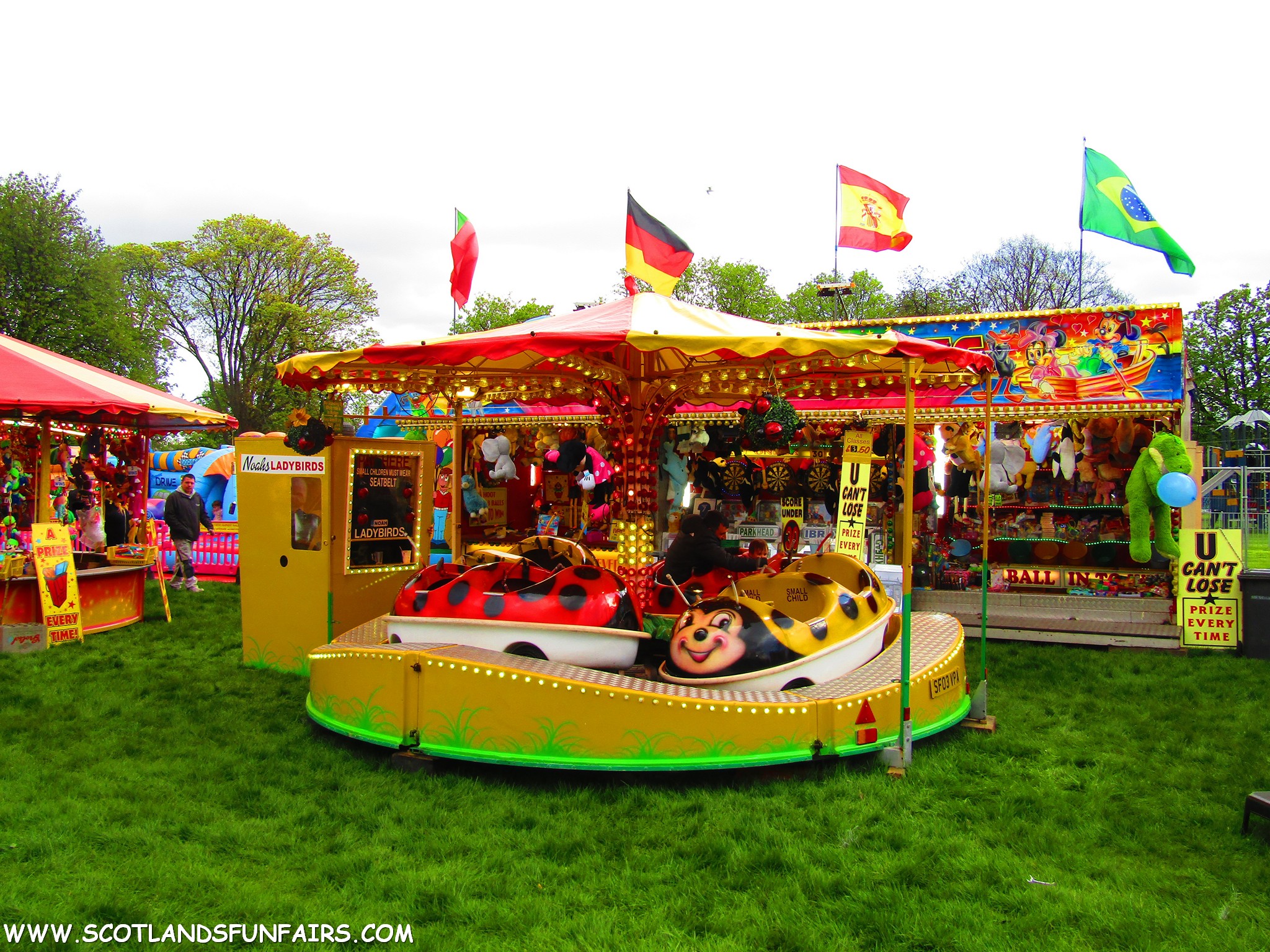 Kevin Carters Ladybirds