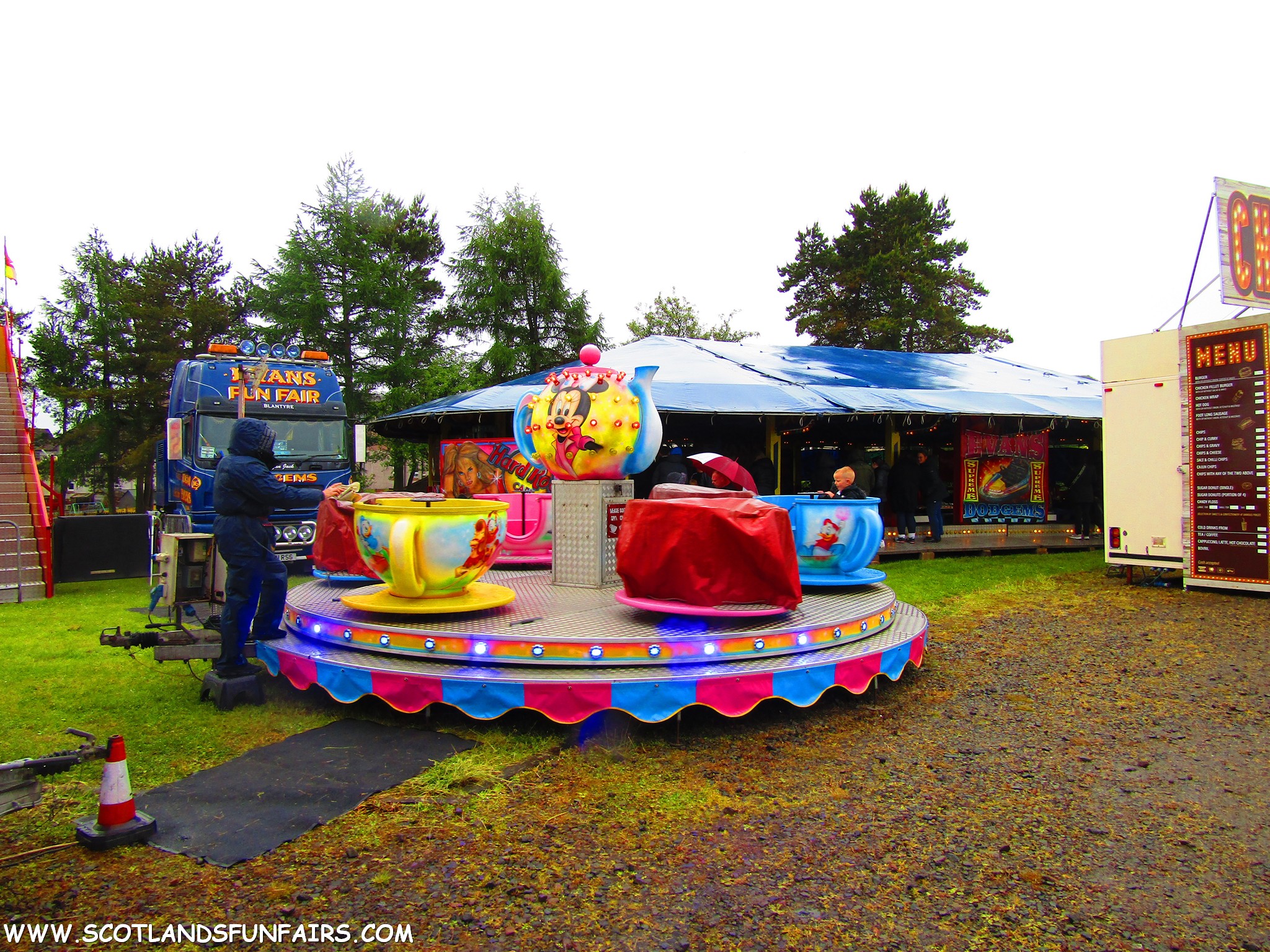 Reagan Evans Teacups