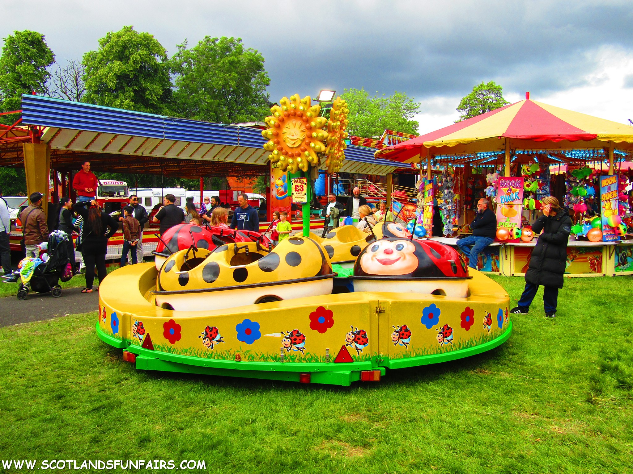 Allan Sharps Ladybirds