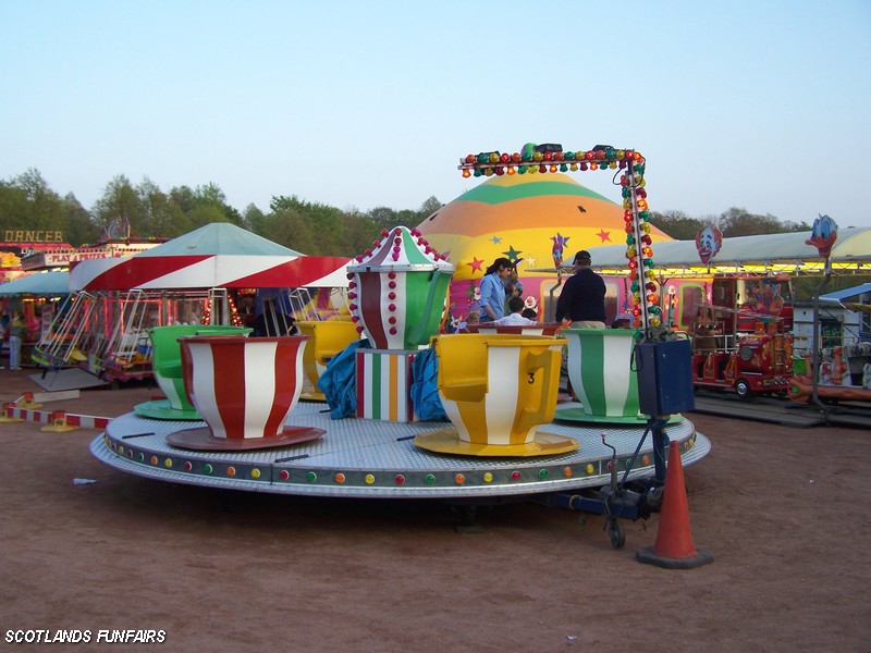 George Thomsons Teacups