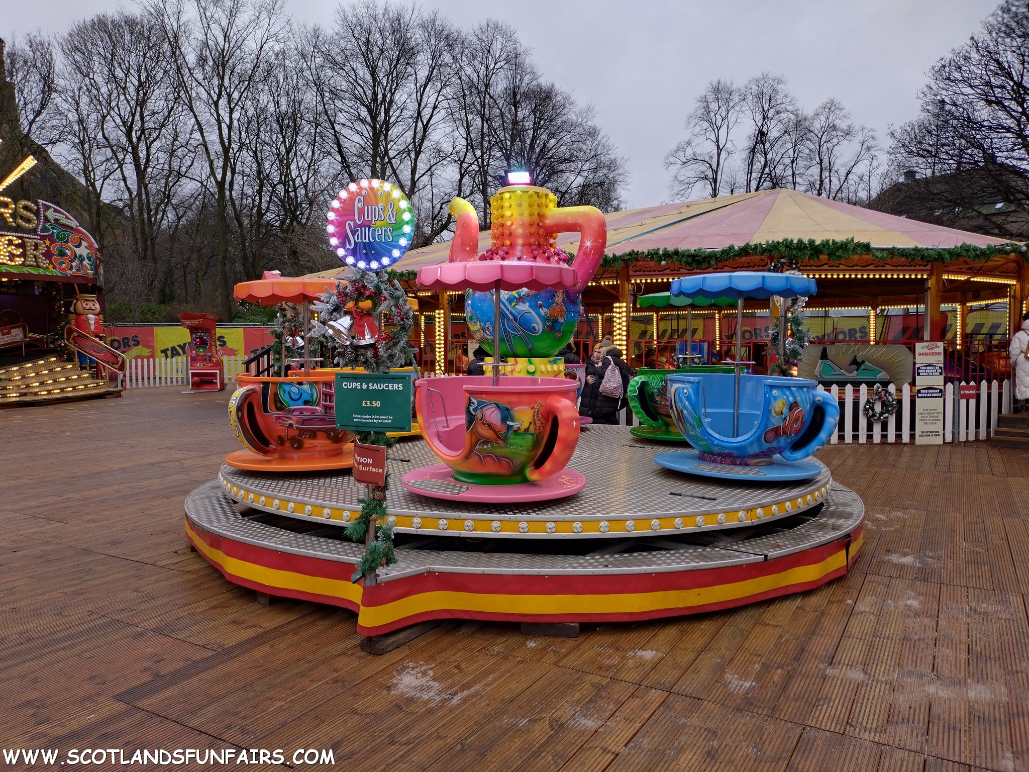 Taylors Of Edinburghs Teacups