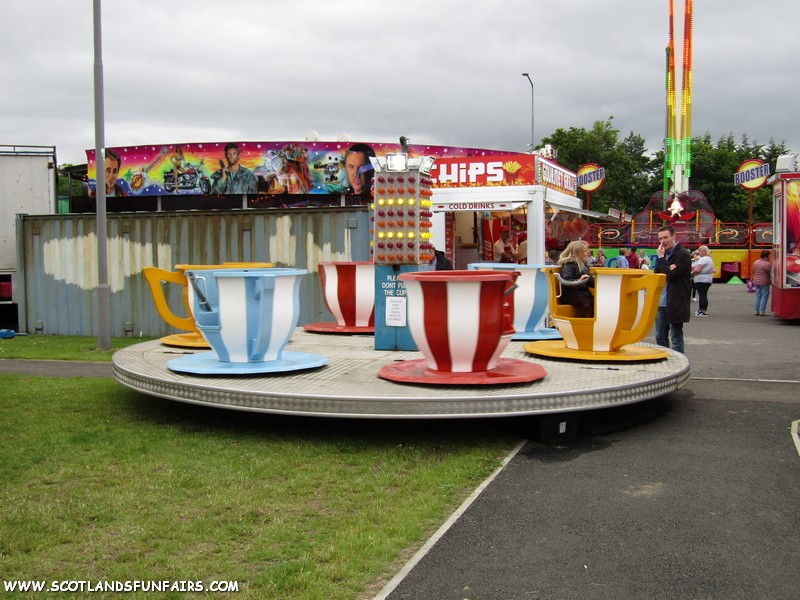 William Thomsons Teacups