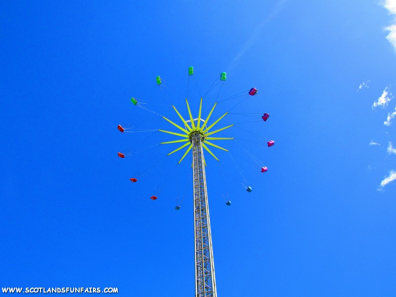 M&D Taylors Starflyer